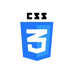 css3 logo